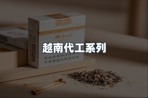 越南代工系列